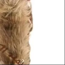 حذاء بوت نسائي بوهيمي غربي بتص - مراجعة Embroidery Red وسعره